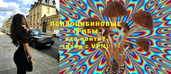 СК Алзамай