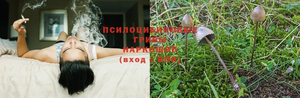 наркотики Алексеевка