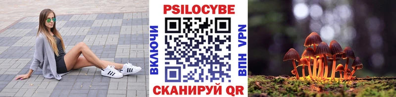 Псилоцибиновые грибы Magic Shrooms  Цимлянск 