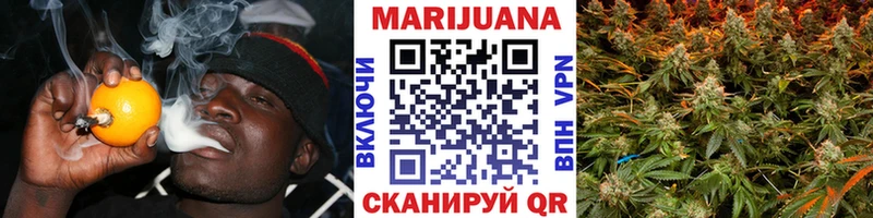 Каннабис конопля Цимлянск